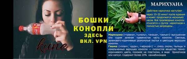 бошки Абинск