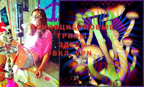 бошки Абинск