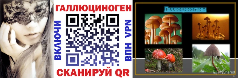 omg зеркало  цена   Духовщина  Галлюциногенные грибы прущие грибы 