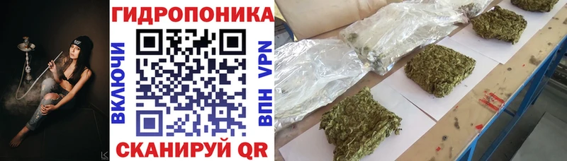 Конопля White Widow  Духовщина 